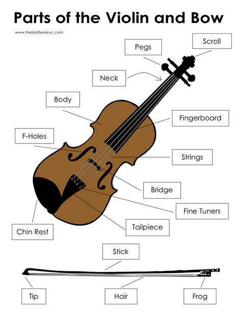 Printable Parts Of The Violin Worksheet